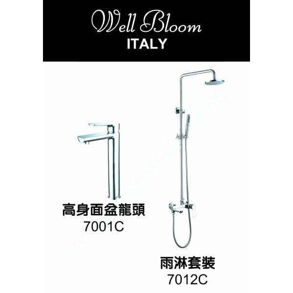 Well Bloom Italy 700CSET2 700系列亮銀色龍頭連雨淋套裝